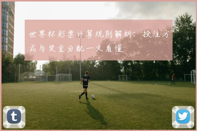 世界杯彩票计算规则解析：投注方式与奖金分配一文看懂