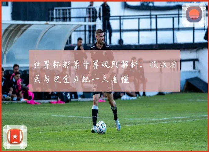 世界杯彩票计算规则解析：投注方式与奖金分配一文看懂