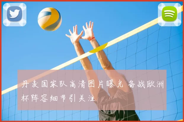 丹麦国家队高清图片曝光 备战欧洲杯阵容细节引关注