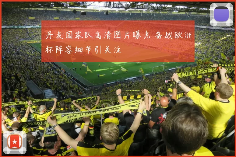 丹麦国家队高清图片曝光 备战欧洲杯阵容细节引关注