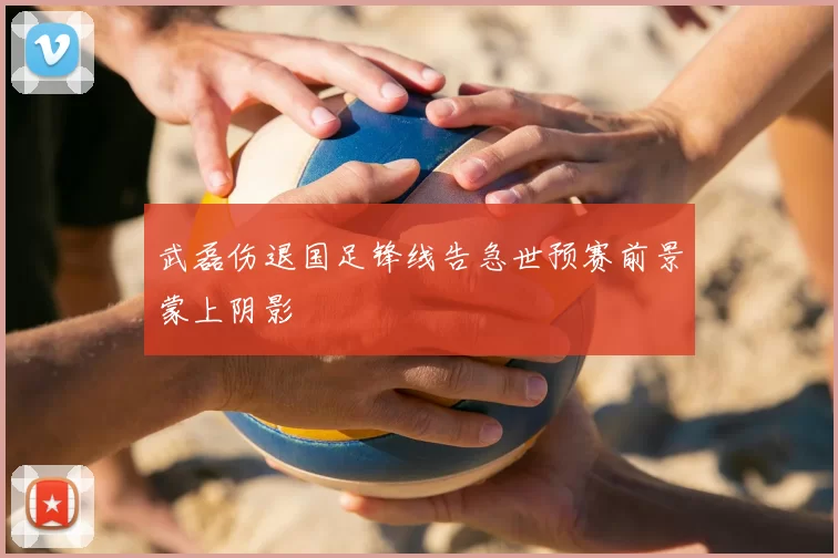 武磊伤退国足锋线告急世预赛前景蒙上阴影