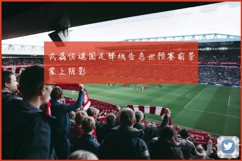 武磊伤退国足锋线告急世预赛前景蒙上阴影