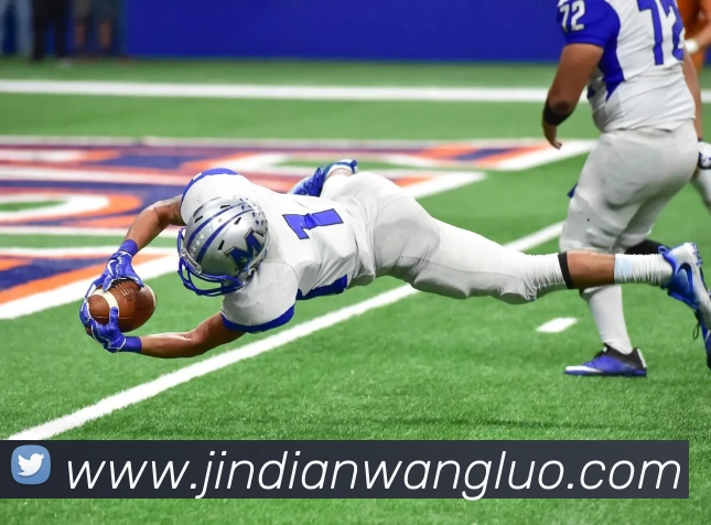 App Interface Preview